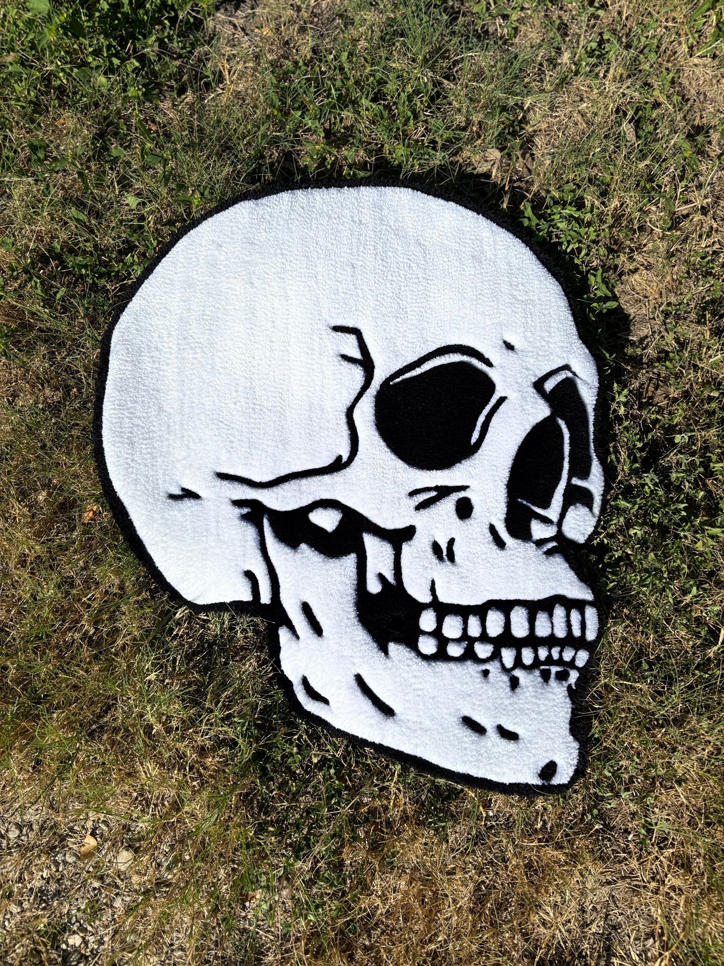 Skull